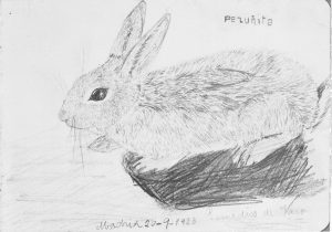 Cat.6 El Conejo Pezunita 1923